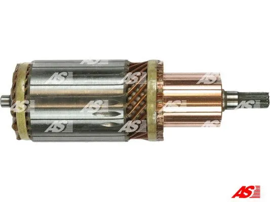 Starterio ankeris AS-PL SA6006