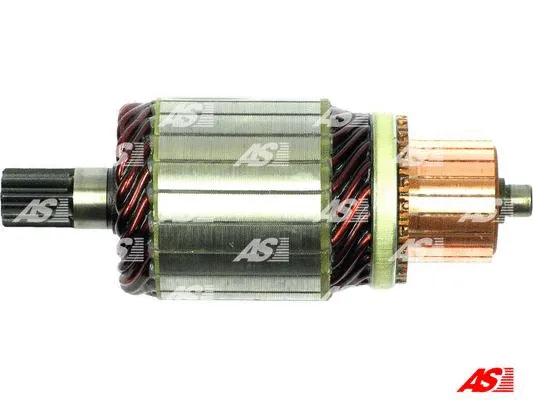 Starterio ankeris AS-PL SA6011