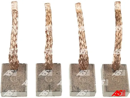 Starterio anglies šepetelis AS-PL SB0005