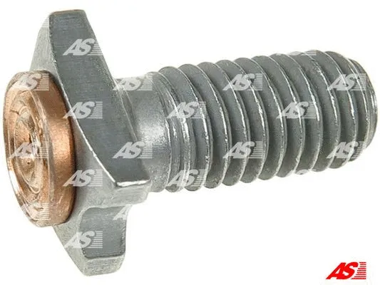 Starterio remonto komplektas AS-PL SP3019P