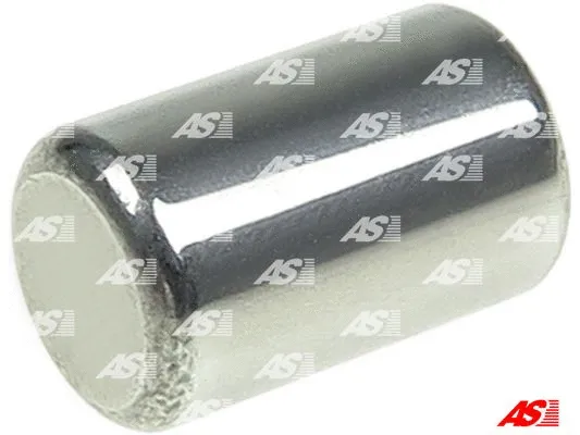 Starterio remonto komplektas AS-PL SRS6069S
