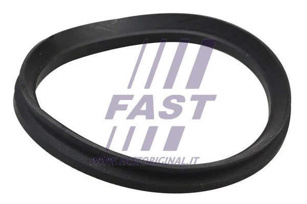 Pakabos statramsčio guolio tarpinė FAST FT12192