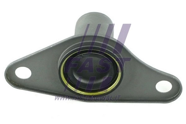 Alyvos išleidimo kaiščio tarpinė FAST FT28205