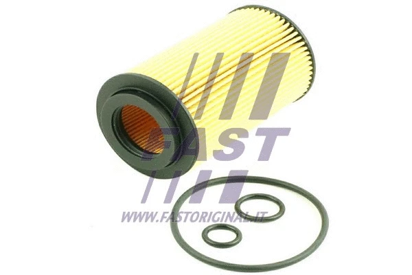 Alyvos filtras FAST FT38013