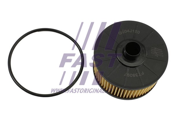 Alyvos filtras FAST FT38097