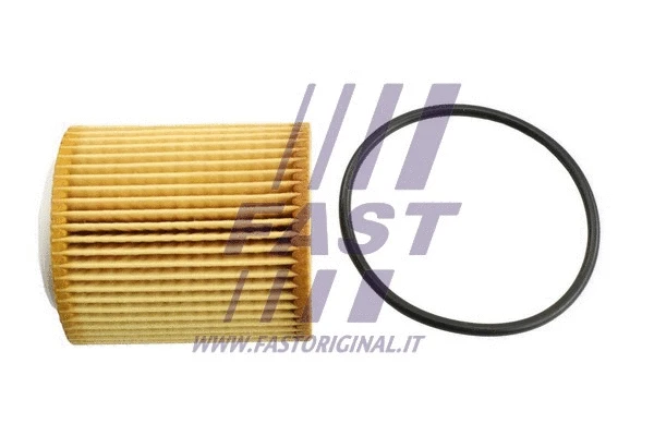 Alyvos filtras FAST FT38100