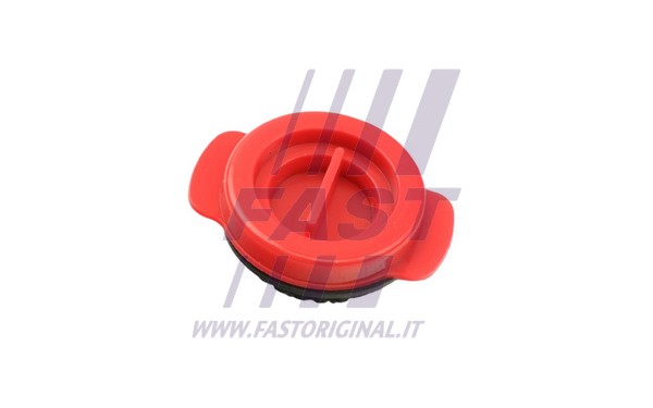 Alyvos siurblio tarpinė FAST FT38802