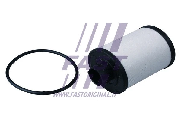 Kuro filtras FAST FT39047