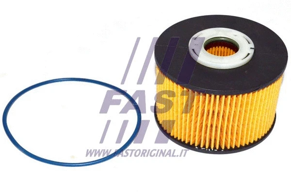 Kuro filtras FAST FT39077
