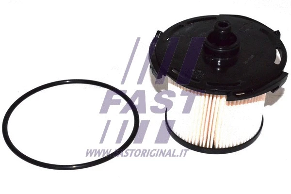 Kuro filtras FAST FT39088