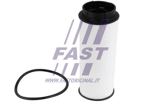 Kuro filtras FAST FT39304