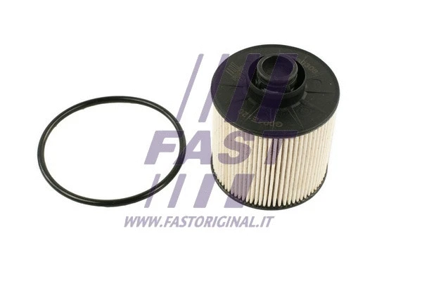 Kuro filtras FAST FT39306