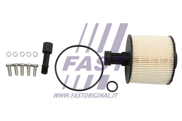Kuro filtras FAST FT39313