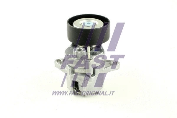Diržo įtempiklio skriemulys FAST FT44646