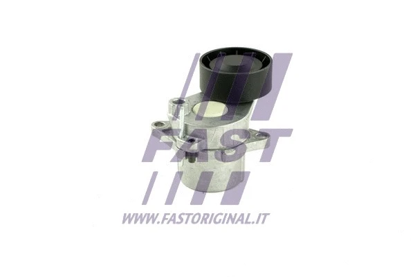 Diržo įtempiklio skriemulys FAST FT44649