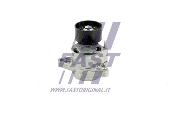 Diržo įtempiklio skriemulys FAST FT44662