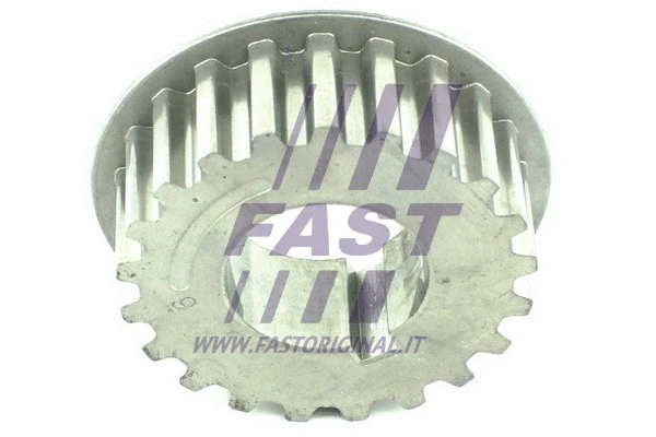 Balansinio veleno pavara FAST FT45605