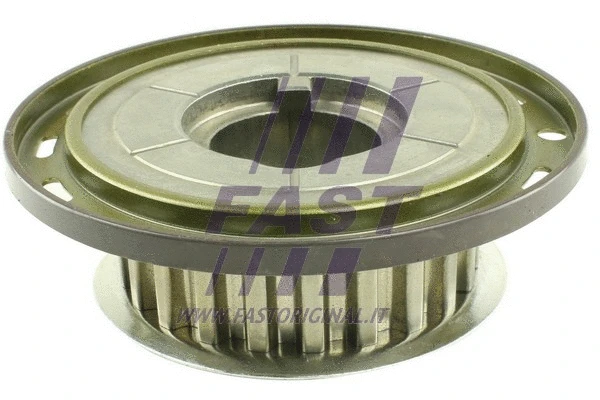 Balansinio veleno pavara FAST FT45614