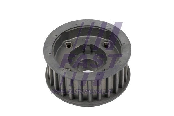 Alkūniniso veleno pavara FAST FT45661