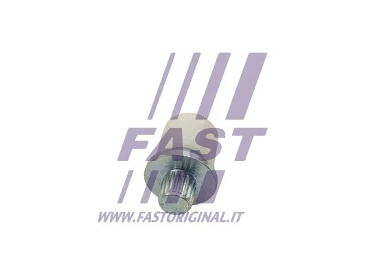 Sankabos valdymo rutulio kaištis FAST FT46637