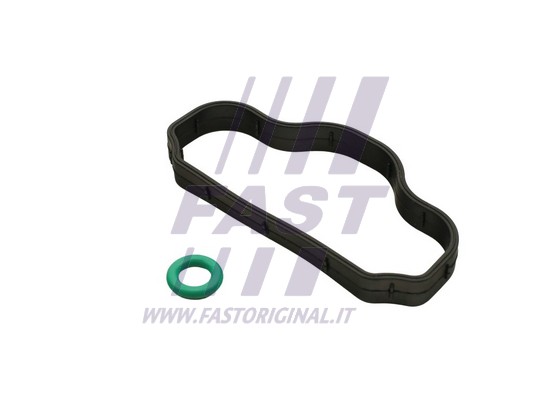 Cilindro galvos dangtelio varžto sandarinimo žiedas FAST FT48302