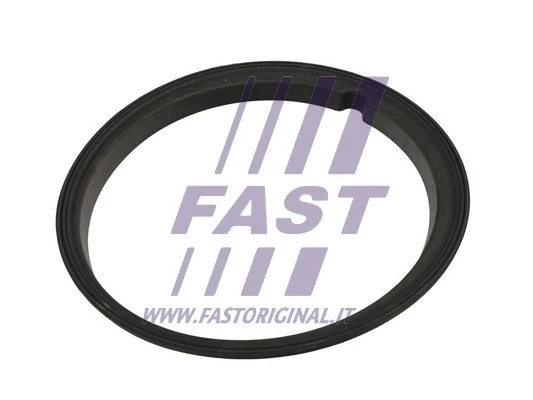 Degalų daviklio bloko tarpinė FAST FT48502