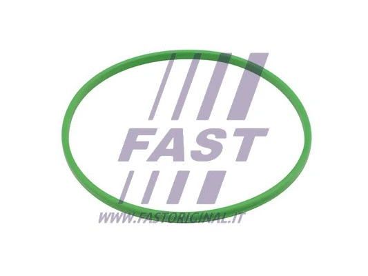 Degalų siurblio tarpinė FAST FT48503