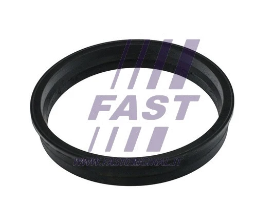 Degalų daviklio bloko tarpinė FAST FT48505