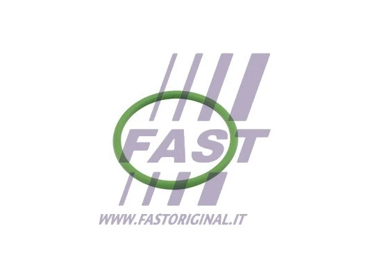 Kroviklio tarpinė FAST FT48803