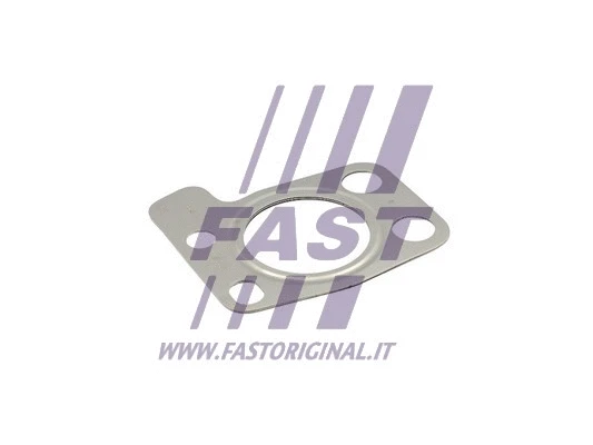 Išleidimo kolektoriaus tarpinė FAST FT48804