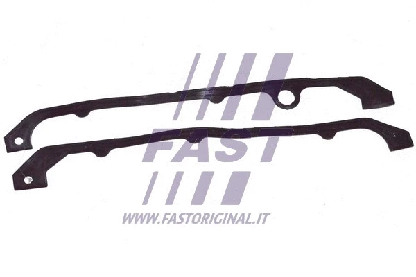 Alyvos karterio tarpinių rinkinys  FAST FT48911