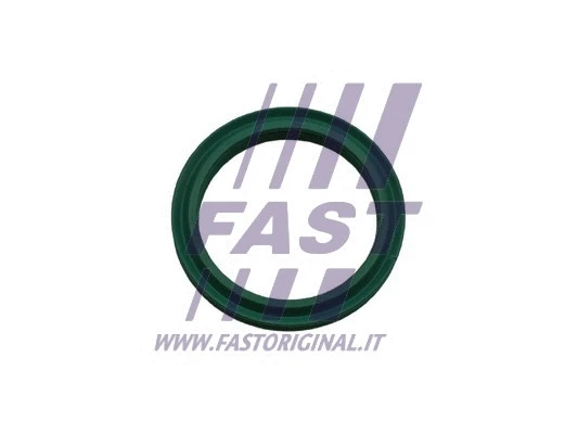 Turbinos oro žarnos tarpinė FAST FT48933