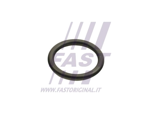 Alyvos aušintuvo tarpinių rinkinys FAST FT48940