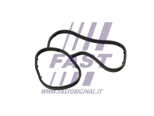 Alyvos aušintuvo tarpinė FAST FT48941