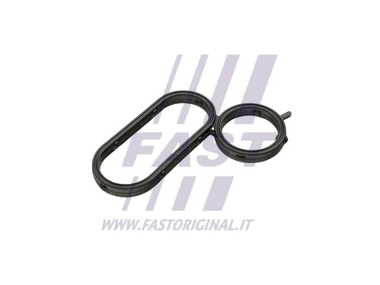 Alyvos aušintuvo tarpinė FAST FT48944