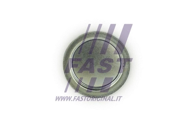 Užšalęs kaištis FAST FT49308