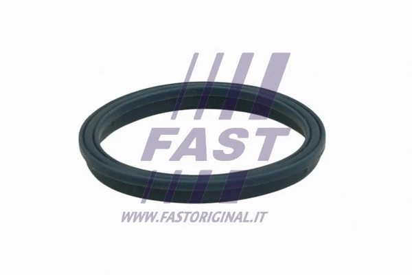 Įsiurbimo kolektoriaus tarpinė FAST FT49407