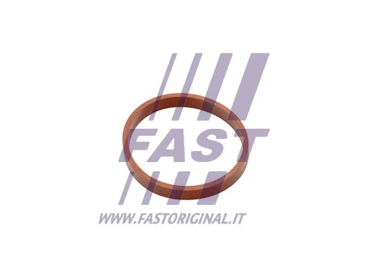 Įsiurbimo kolektoriaus tarpinė FAST FT49418