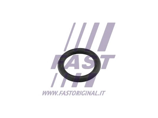 Įsiurbimo kolektoriaus tarpinė FAST FT49419