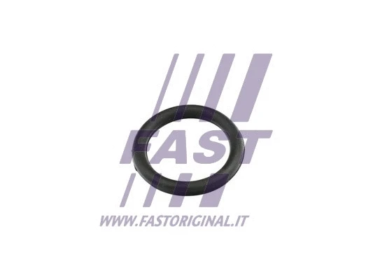Įsiurbimo kolektoriaus tarpinė FAST FT49420