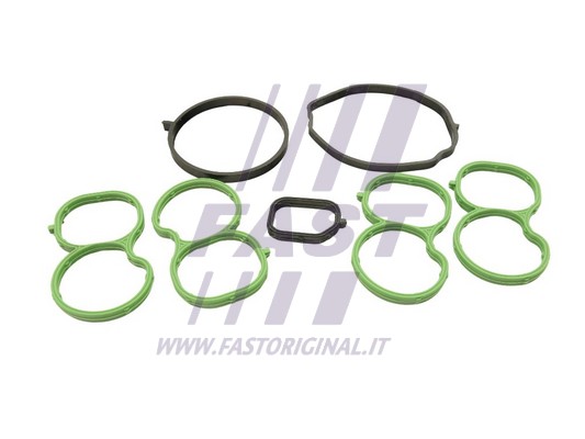Įsiurbimo kolektoriaus tarpinė FAST FT49455