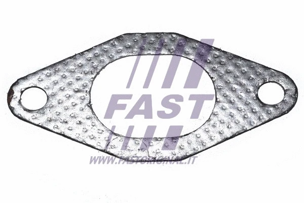 Išleidimo kolektoriaus tarpinė FAST FT49484
