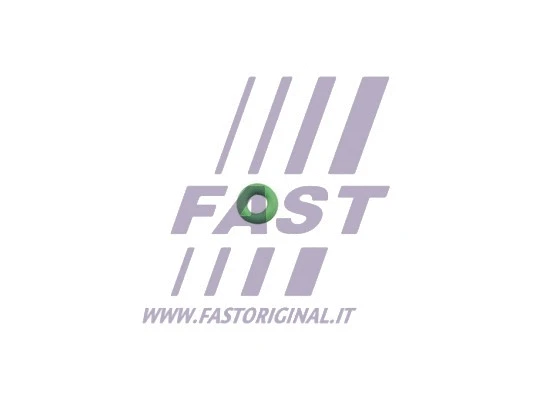 Purkštuko laikiklio tarpinė FAST FT49650