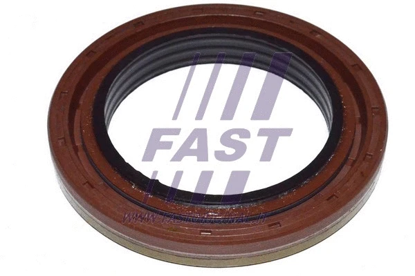 Mechaninės transmisijos veleno sandariklis FAST FT49785