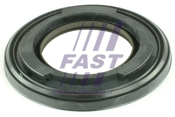 Mechaninės transmisijos veleno sandariklis FAST FT49812