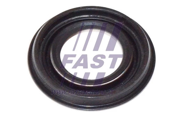Purkštuko laikiklio tarpinė FAST FT49837