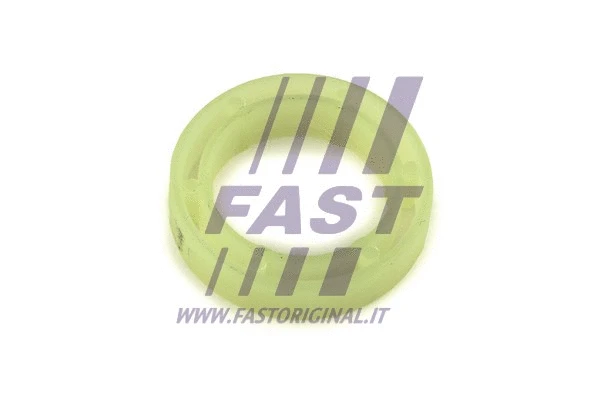 Purkštuko laikiklio tarpinė FAST FT49844