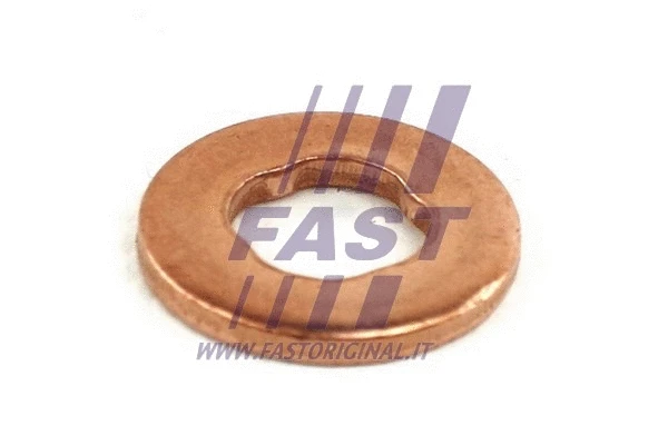 Purkštuko laikiklio tarpinė FAST FT49846