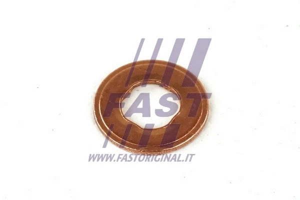 Purkštuko laikiklio tarpinė FAST FT49847
