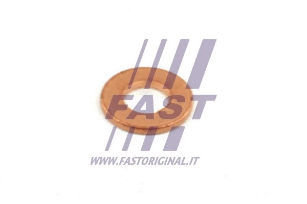 Purkštuko laikiklio tarpinė FAST FT49848